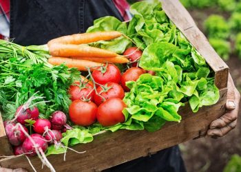 تفاوت بین محصولات ارگانیک و غیر ارگانیک